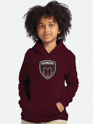 Youth Hoodie
